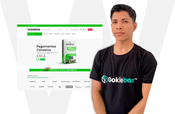 Paginas Web