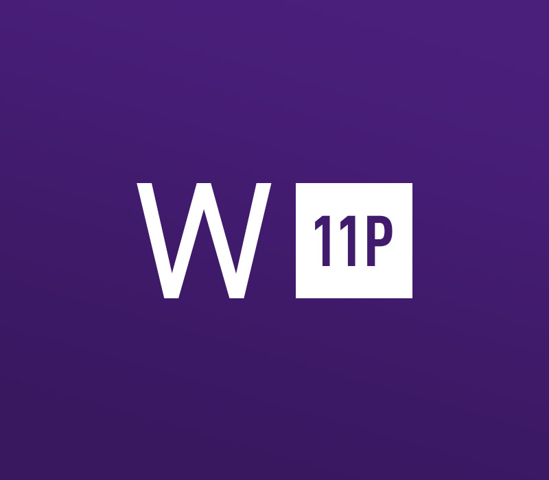 Windows 11 Professional (OEM)